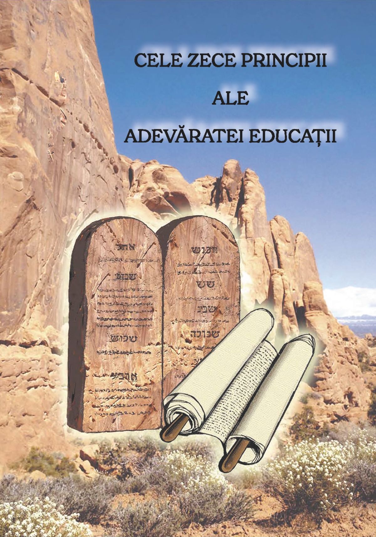 Cele zece principii - carte